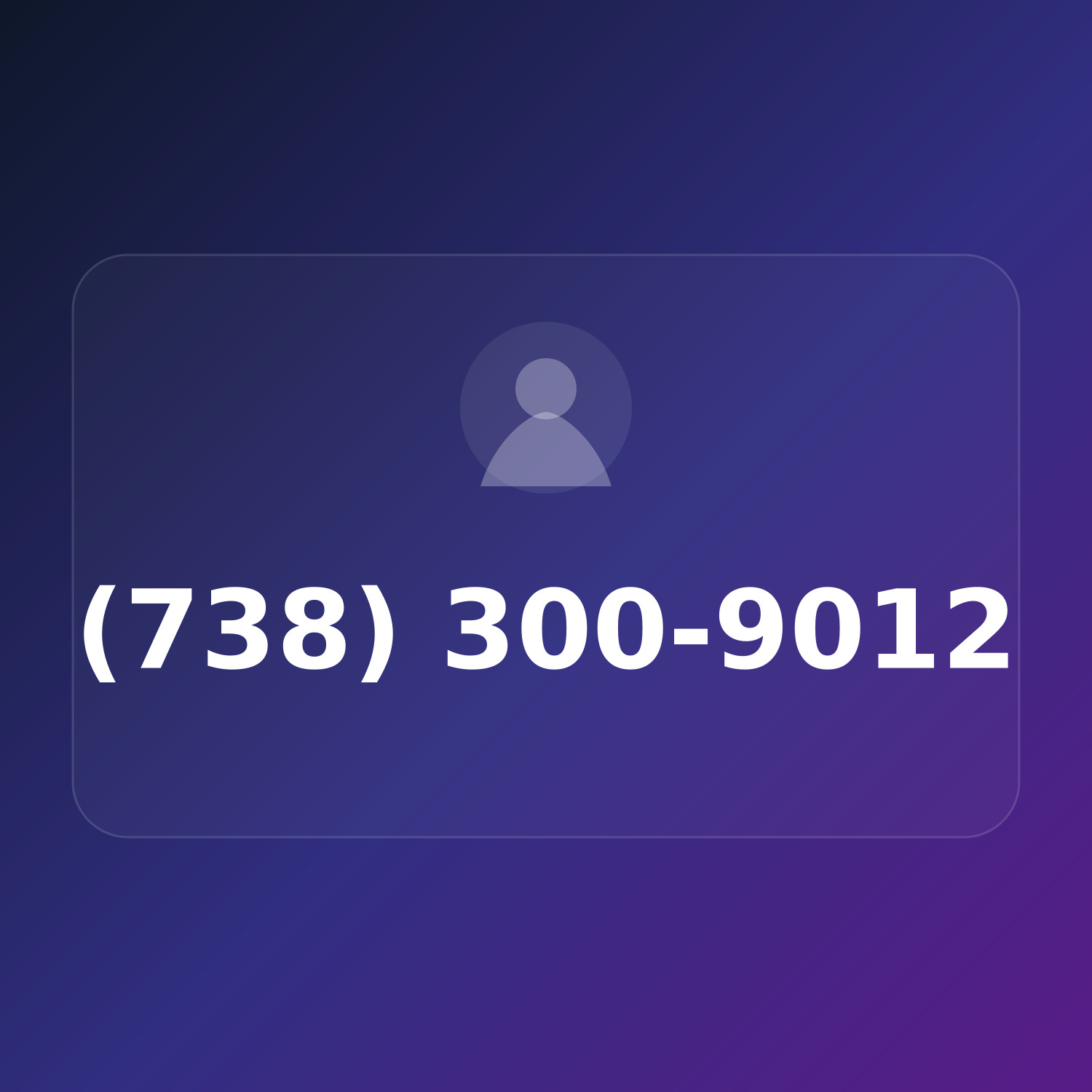 (738) 300-9012 product image