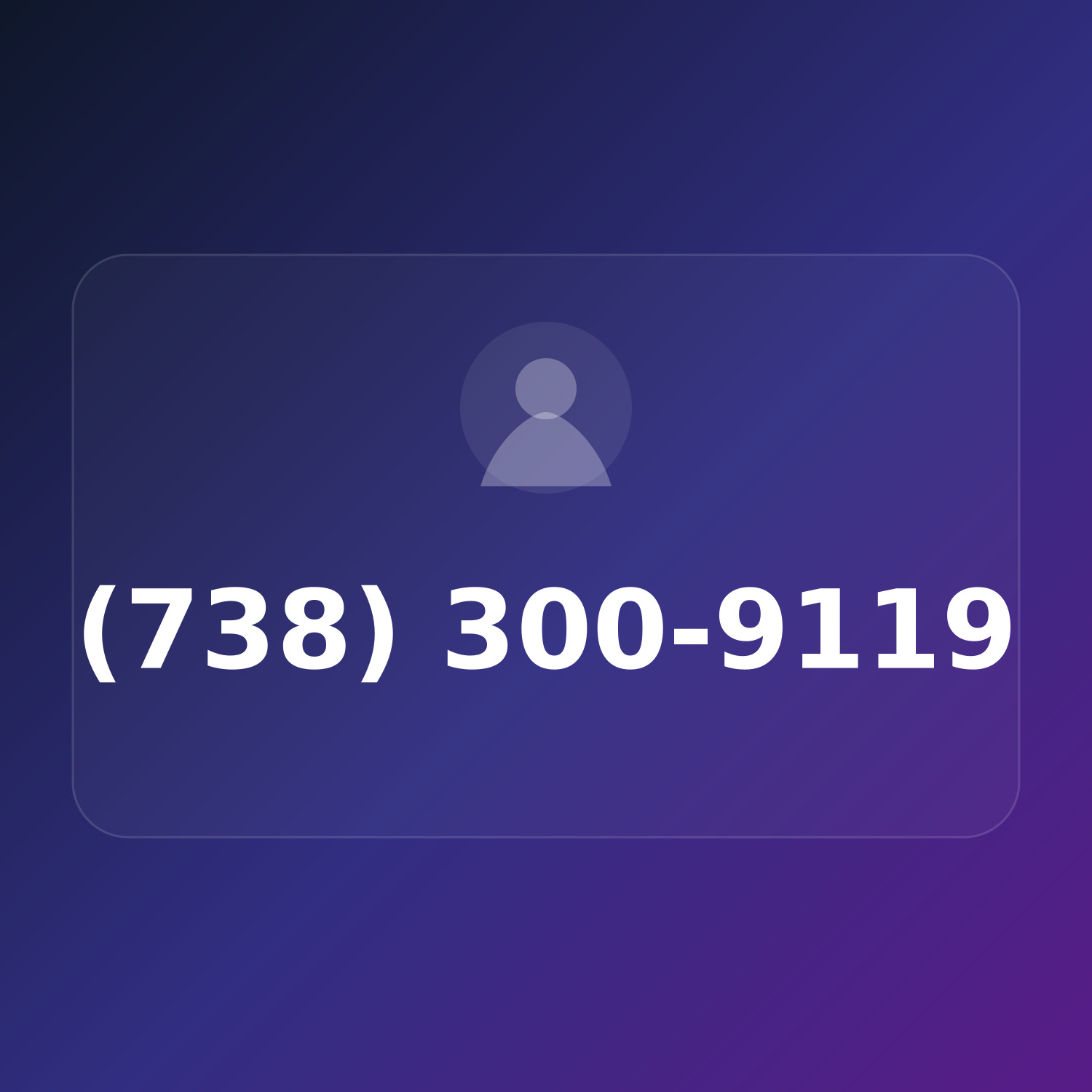 (738) 300-9119 product image