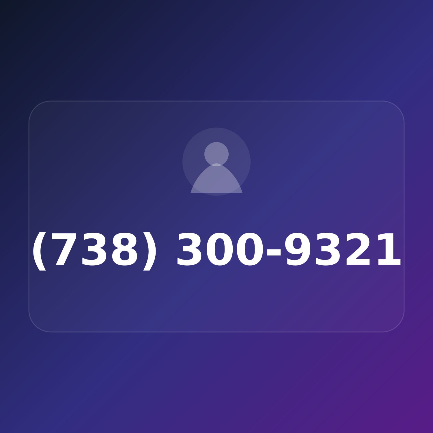 (738) 300-WEB1 product image