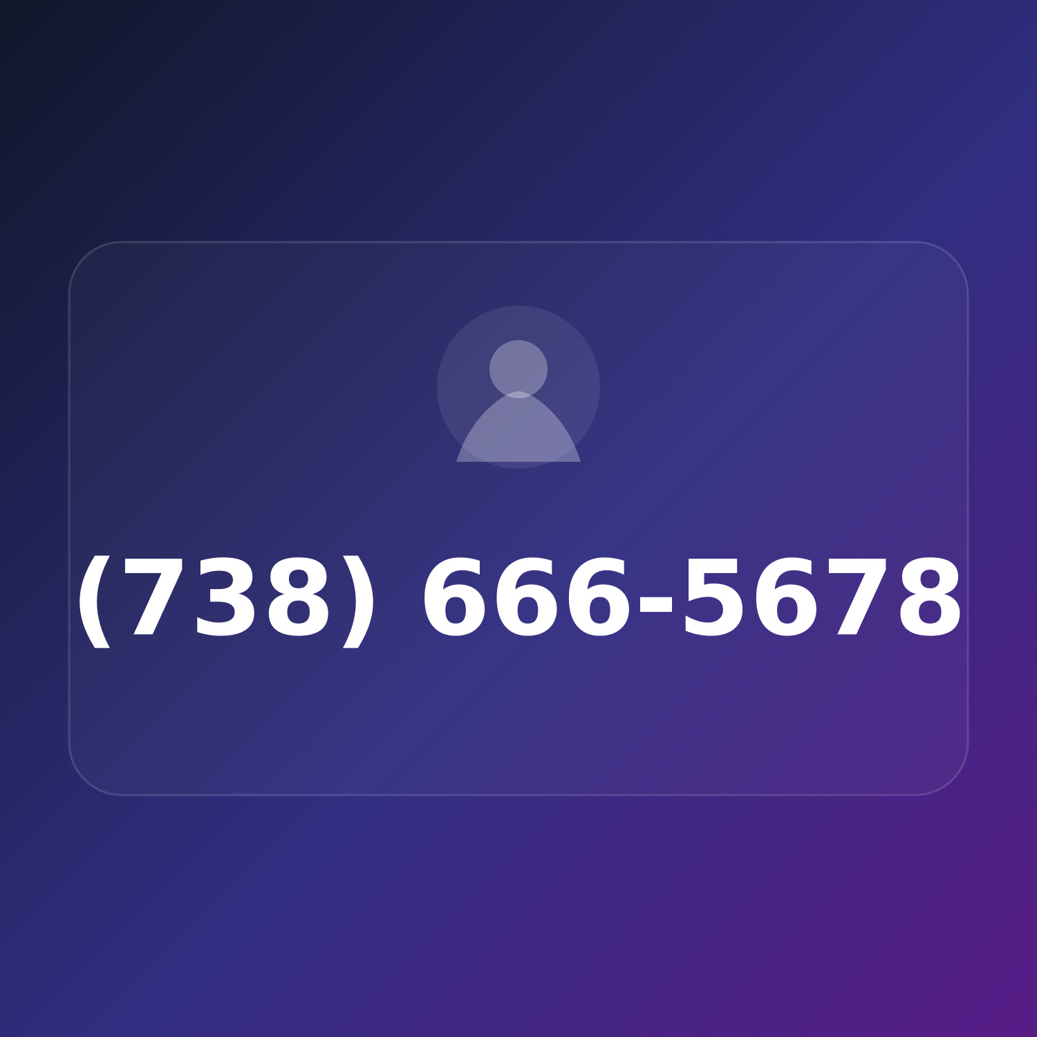 (738) 666-LOST product image