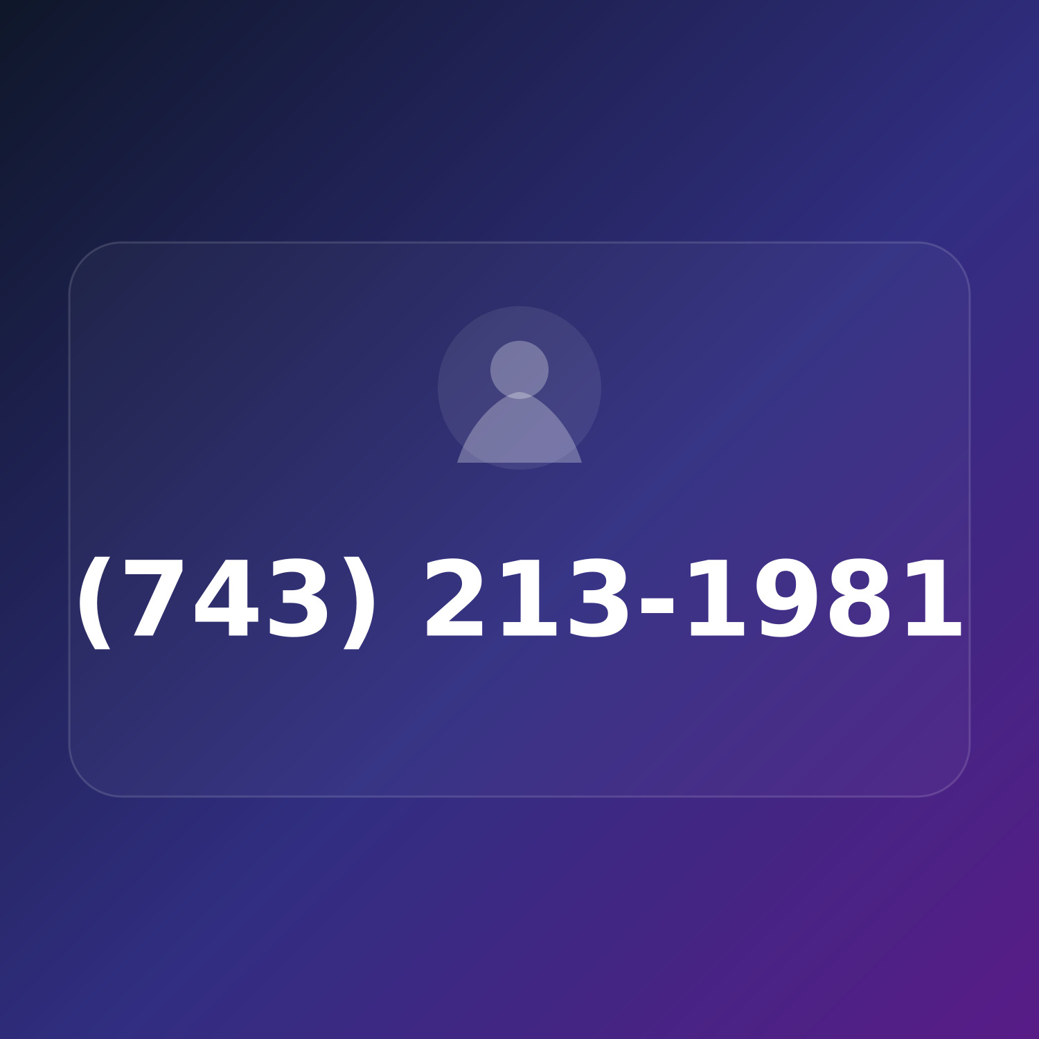 (743) 213-1981 product image