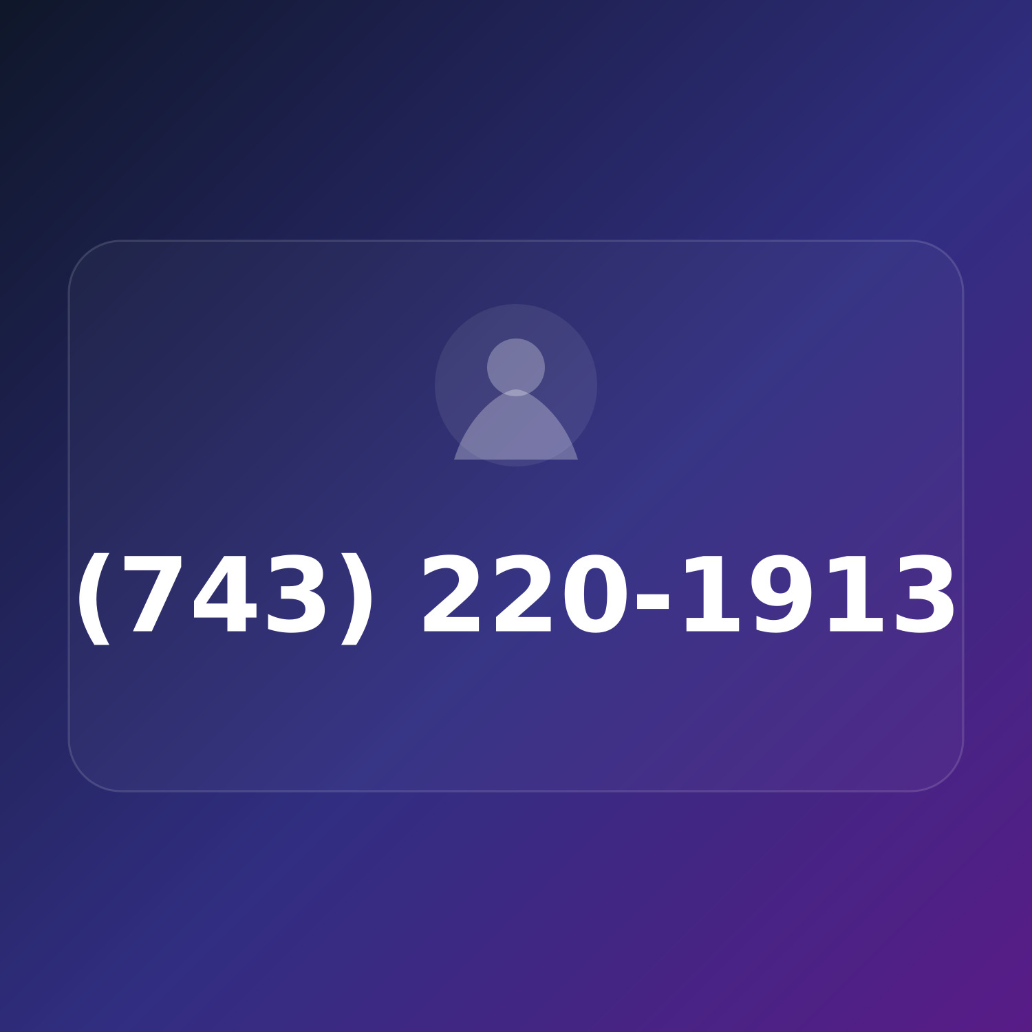 (743) 220-1913 product image