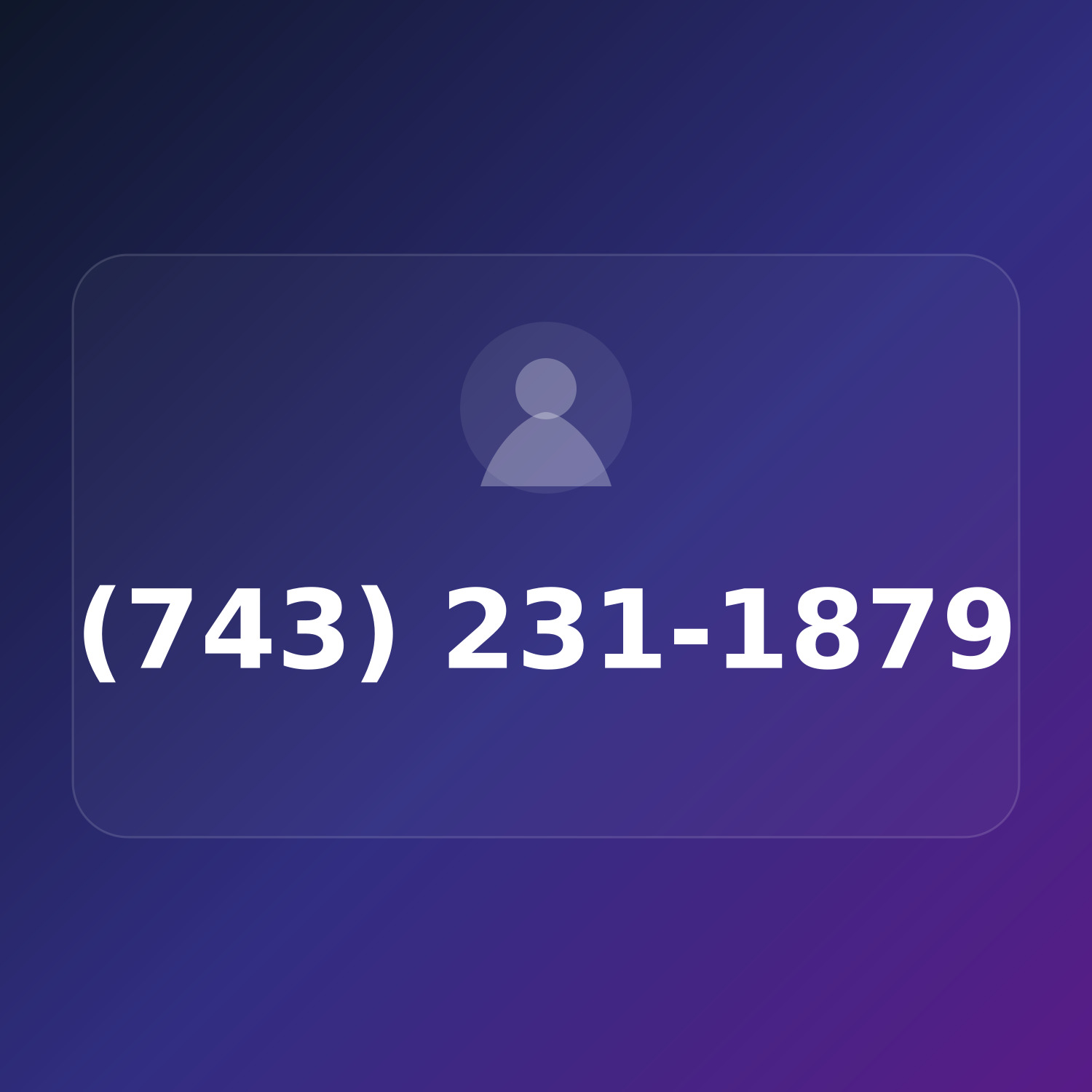 (743) 231-1TRY product image