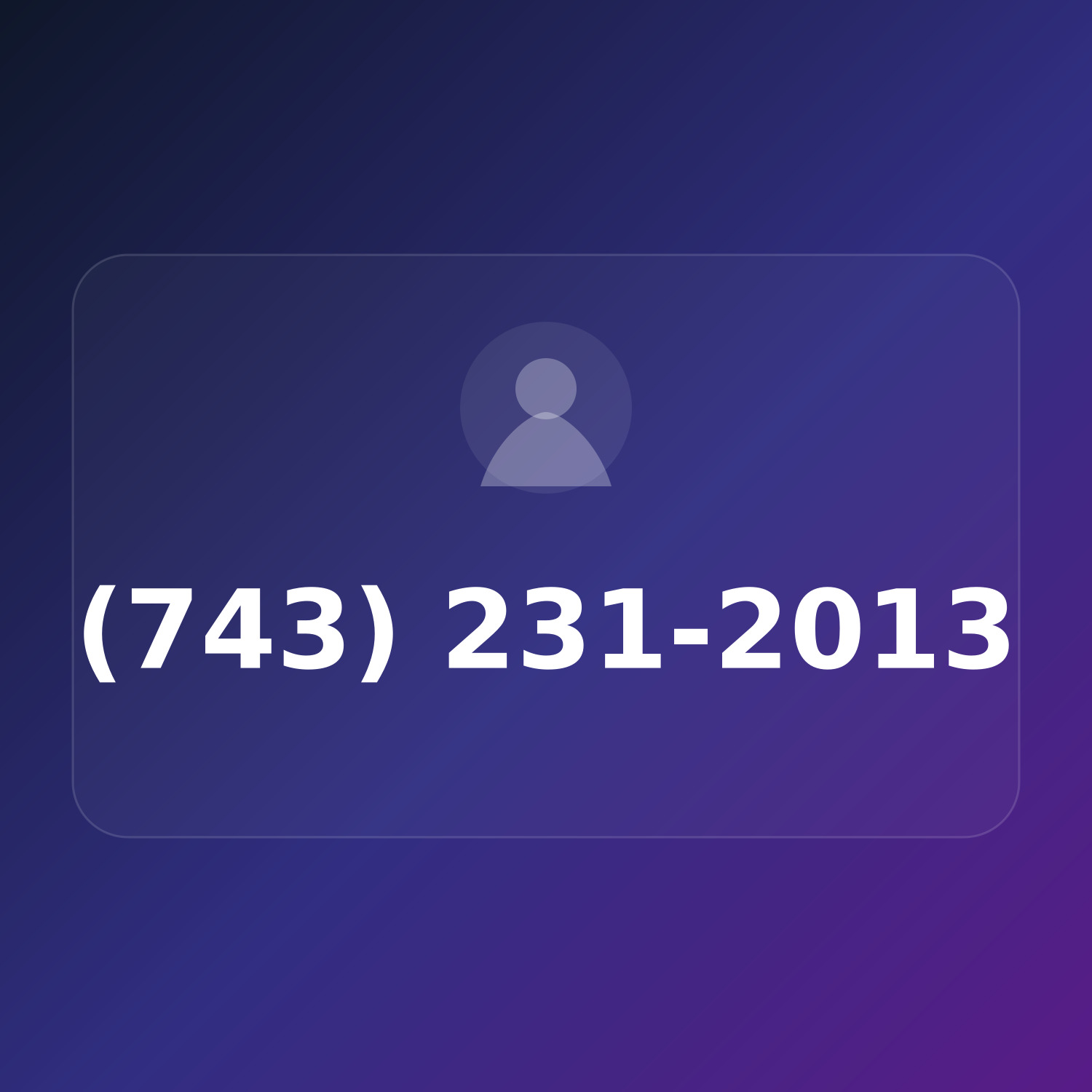 (743) 231-2013 product image
