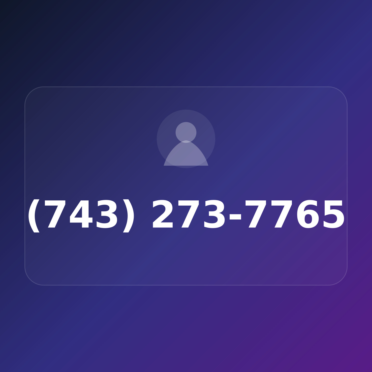 (743) 273-PRO5 product image