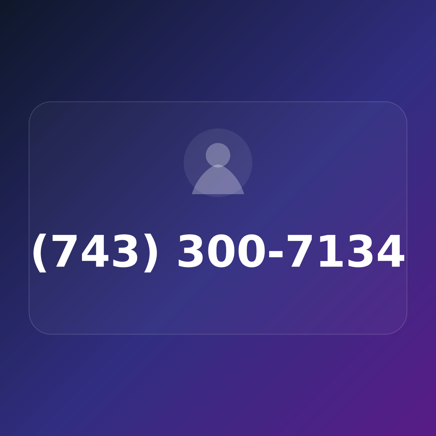 (743) 300-7134 product image