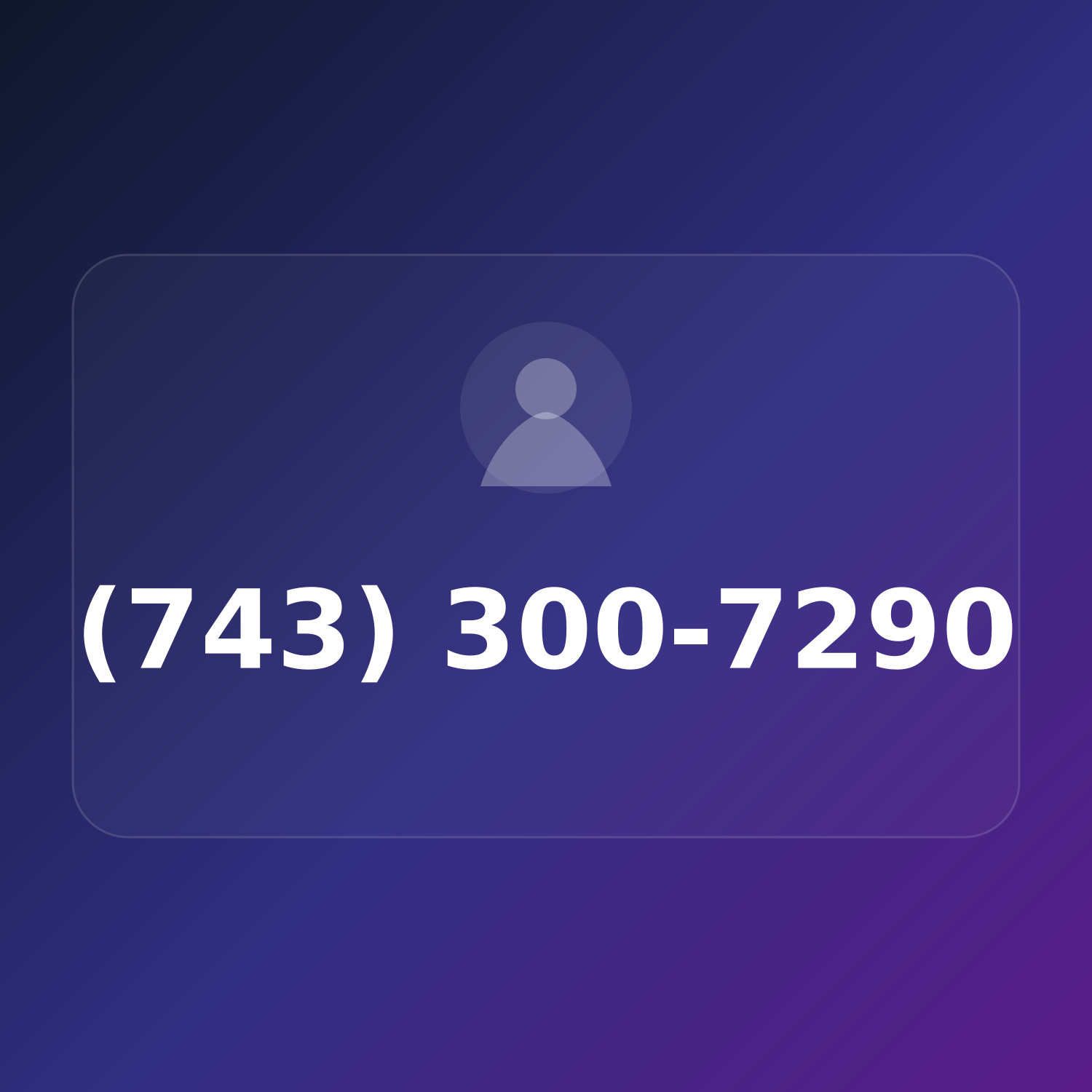 (743) 300-PAY0 product image