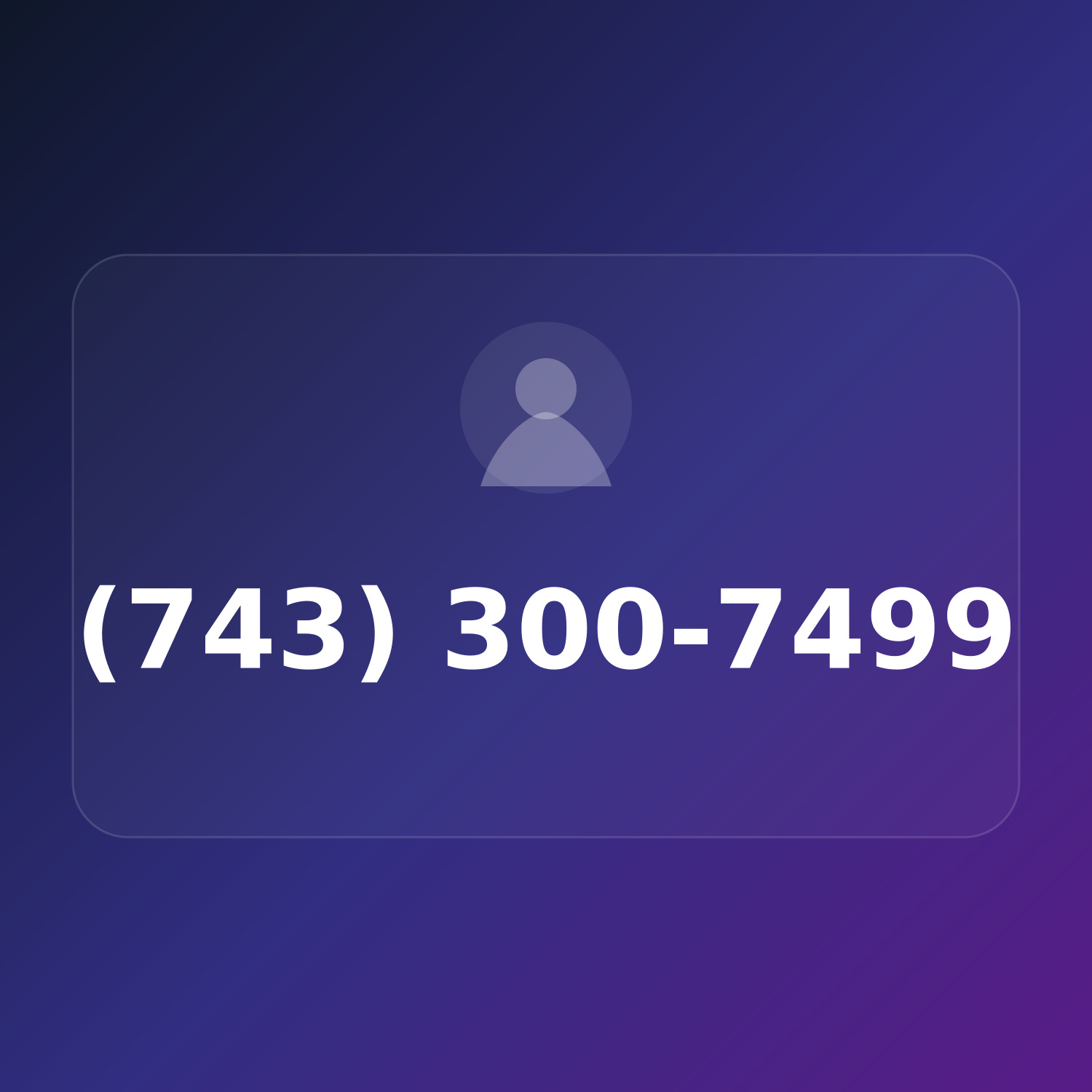 (743) 300-SIX9 product image