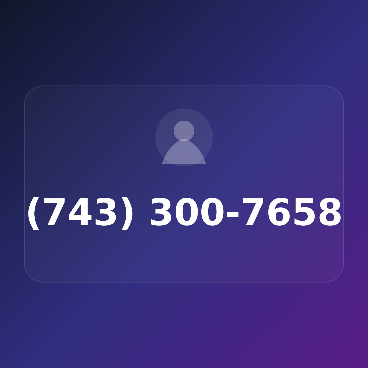 (743) 300-ROKU product image