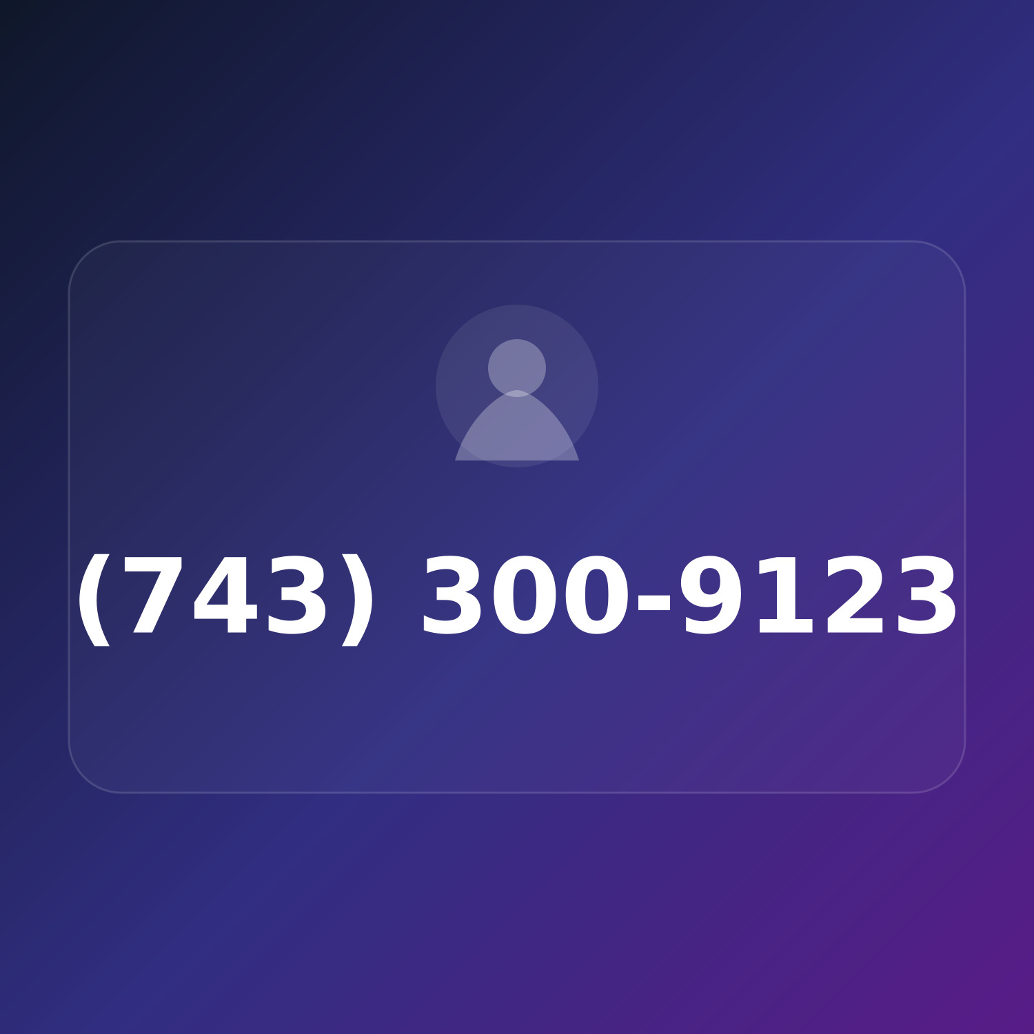 (743) 300-9123 product image