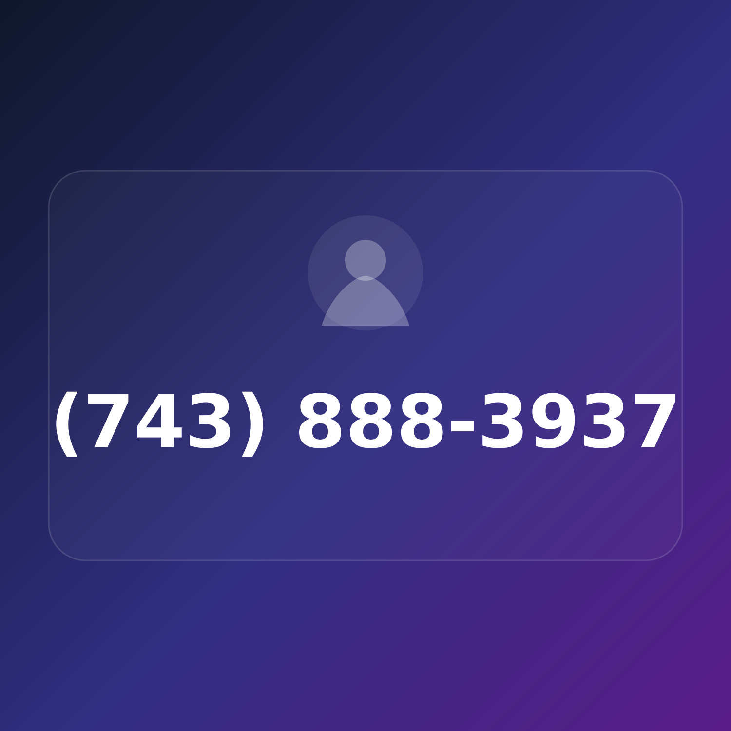 (743) 888-DYER product image