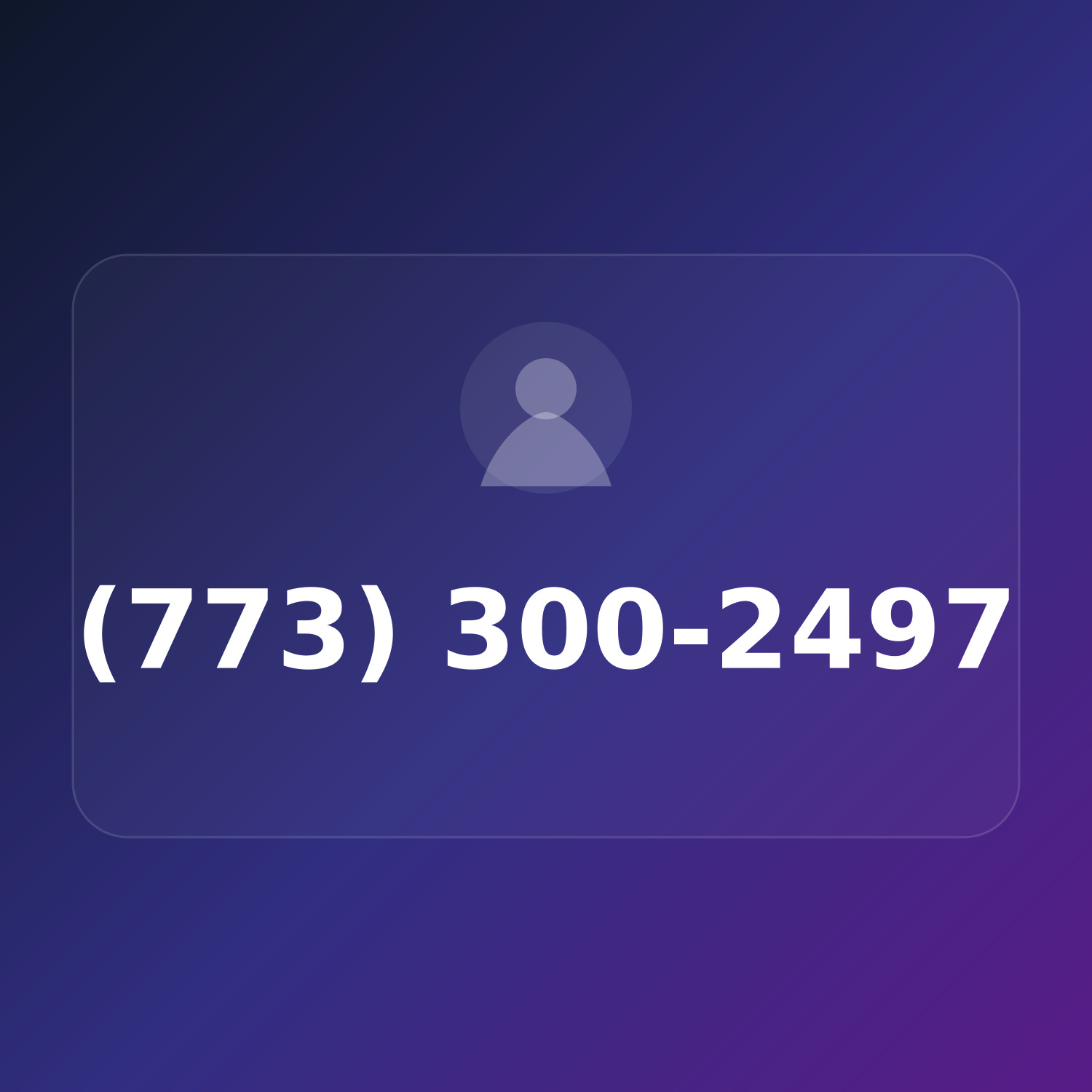 (773) 300-BIZ7 product image