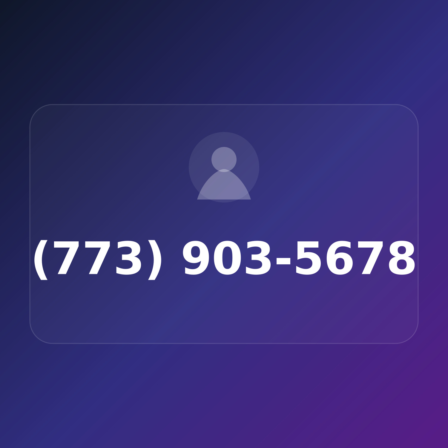 (773) 903-LOST product image