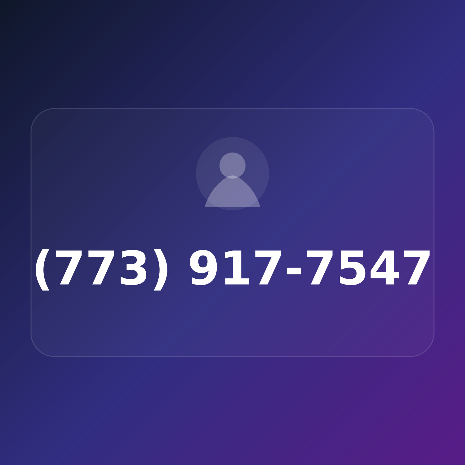 (773) 917-SKIP product image