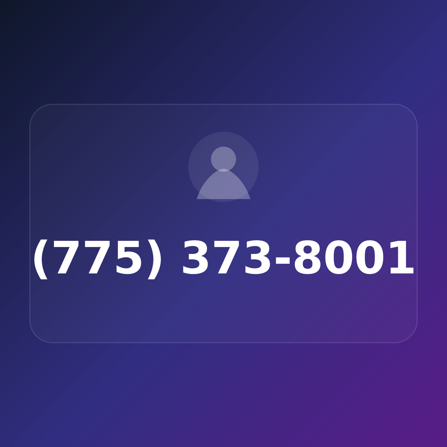 (775) 373-8001 product image