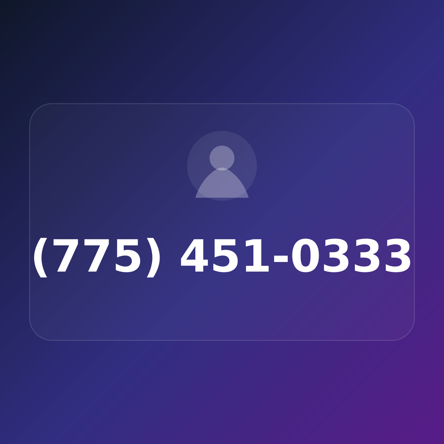 (775) 451-0333 product image
