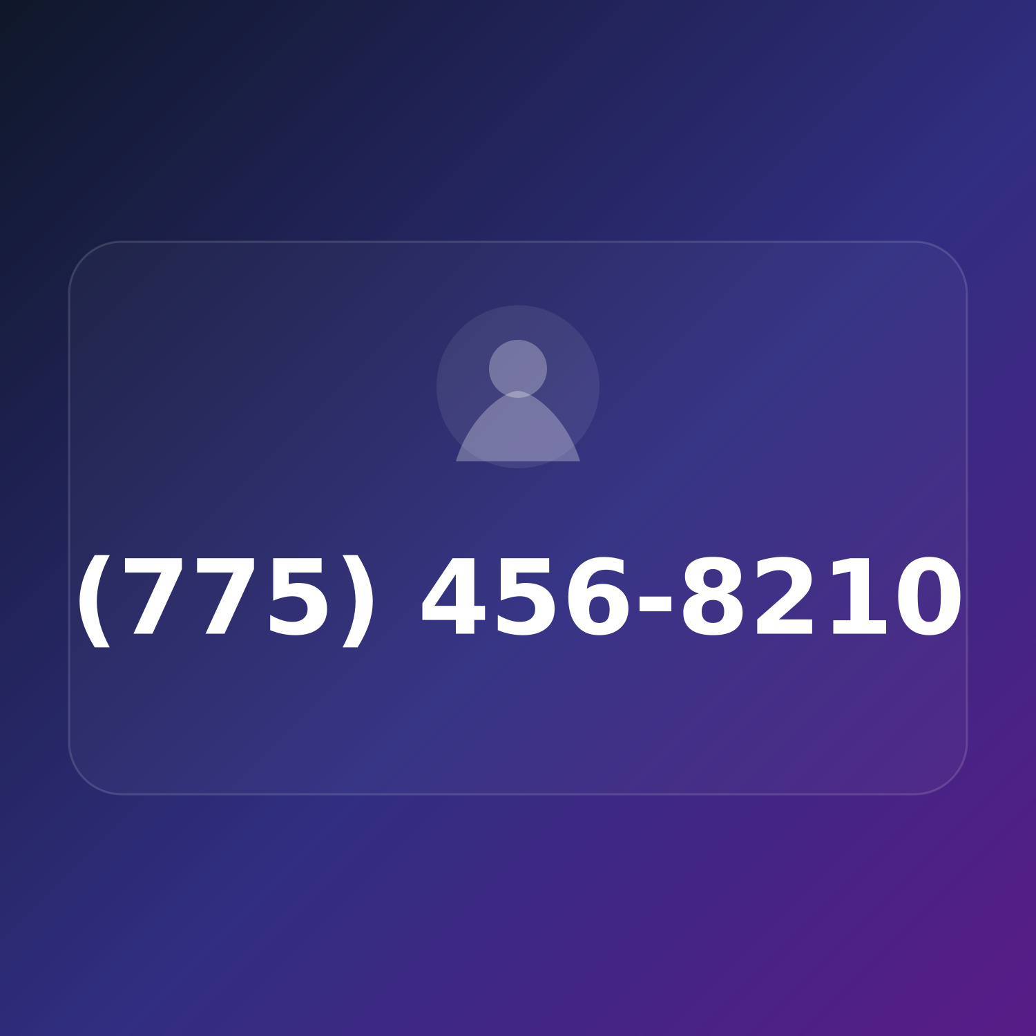 (775) 456-8210 product image
