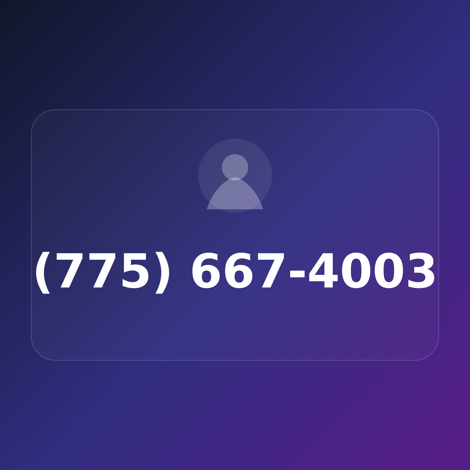 (775) 667-4003 product image