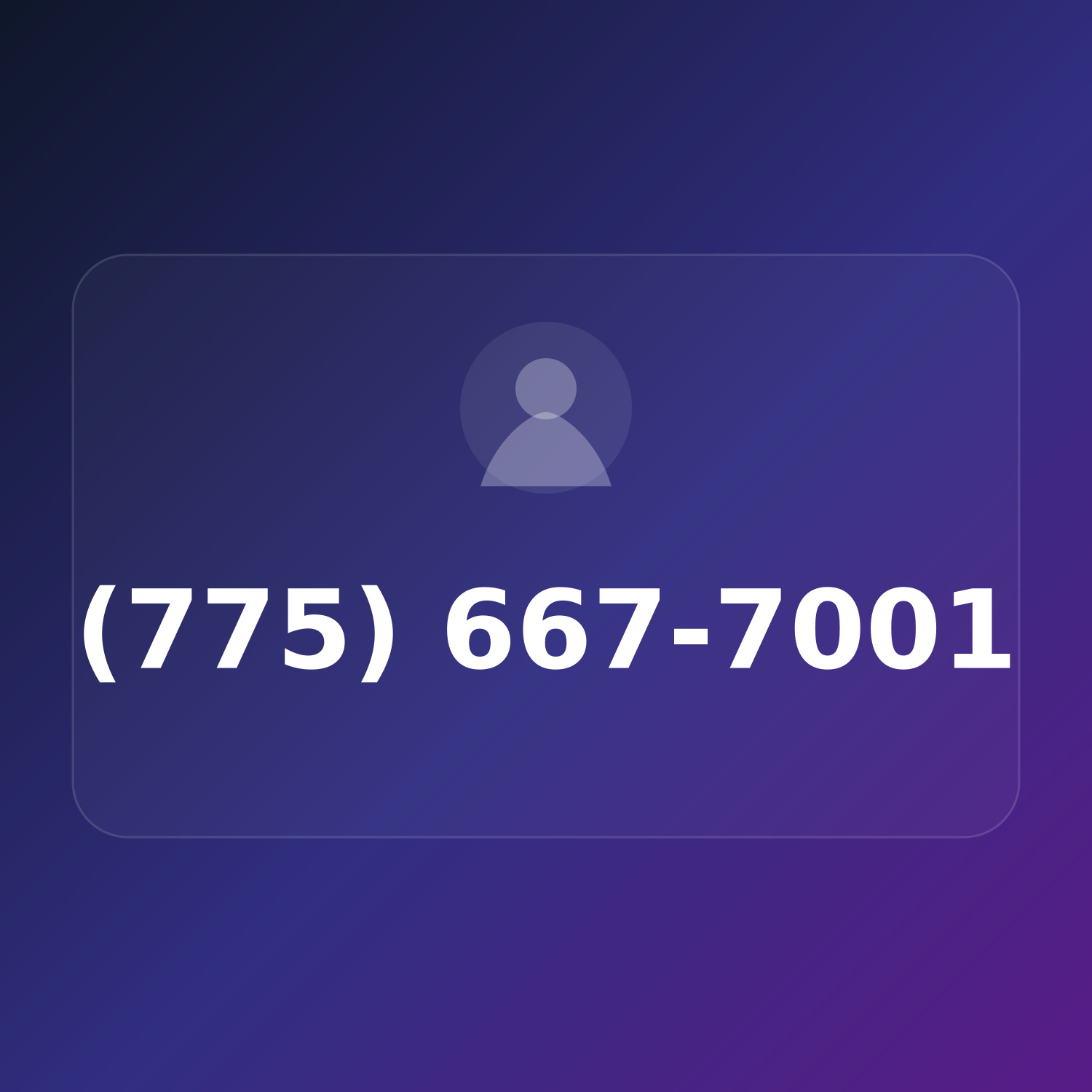 (775) 667-7001 product image