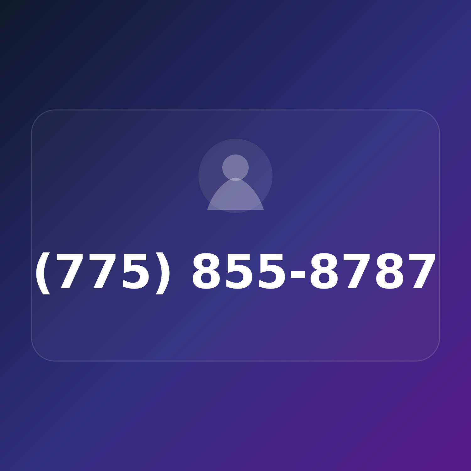 (775) 855-8787 product image