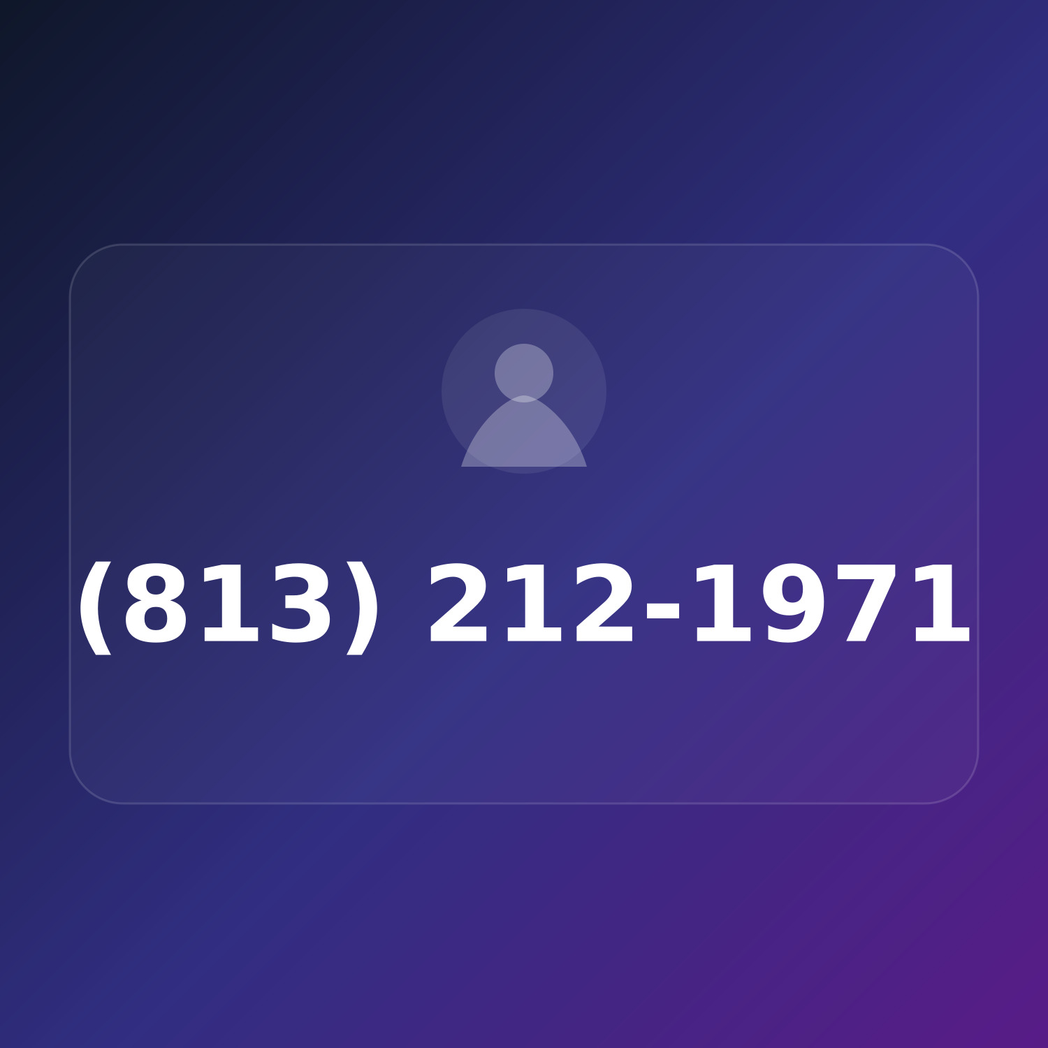 (813) 212-1971 product image