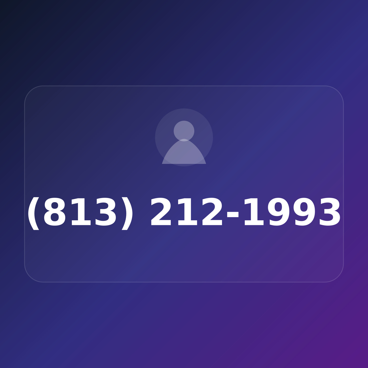 (813) 212-1993 product image