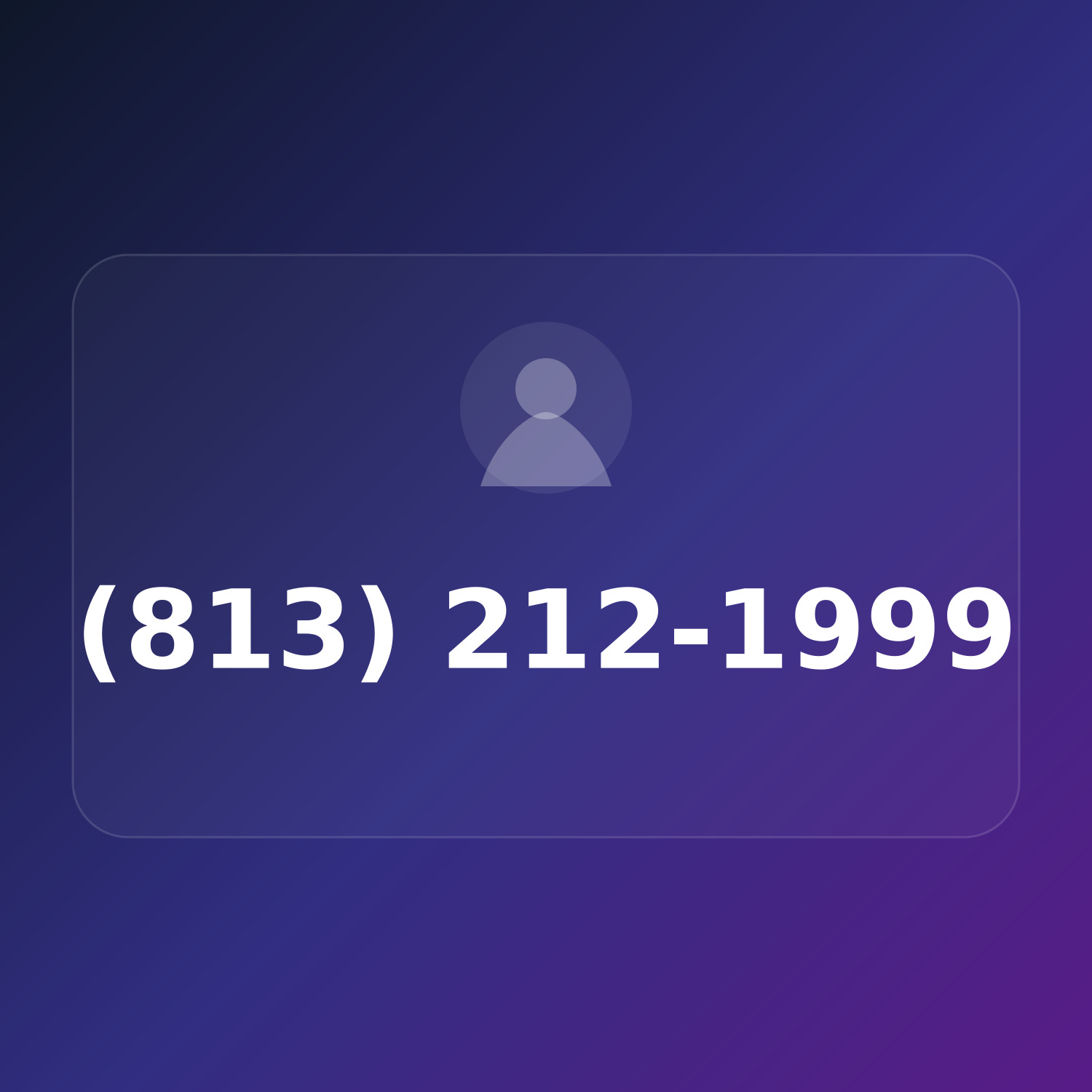 (813) 212-1WWW product image