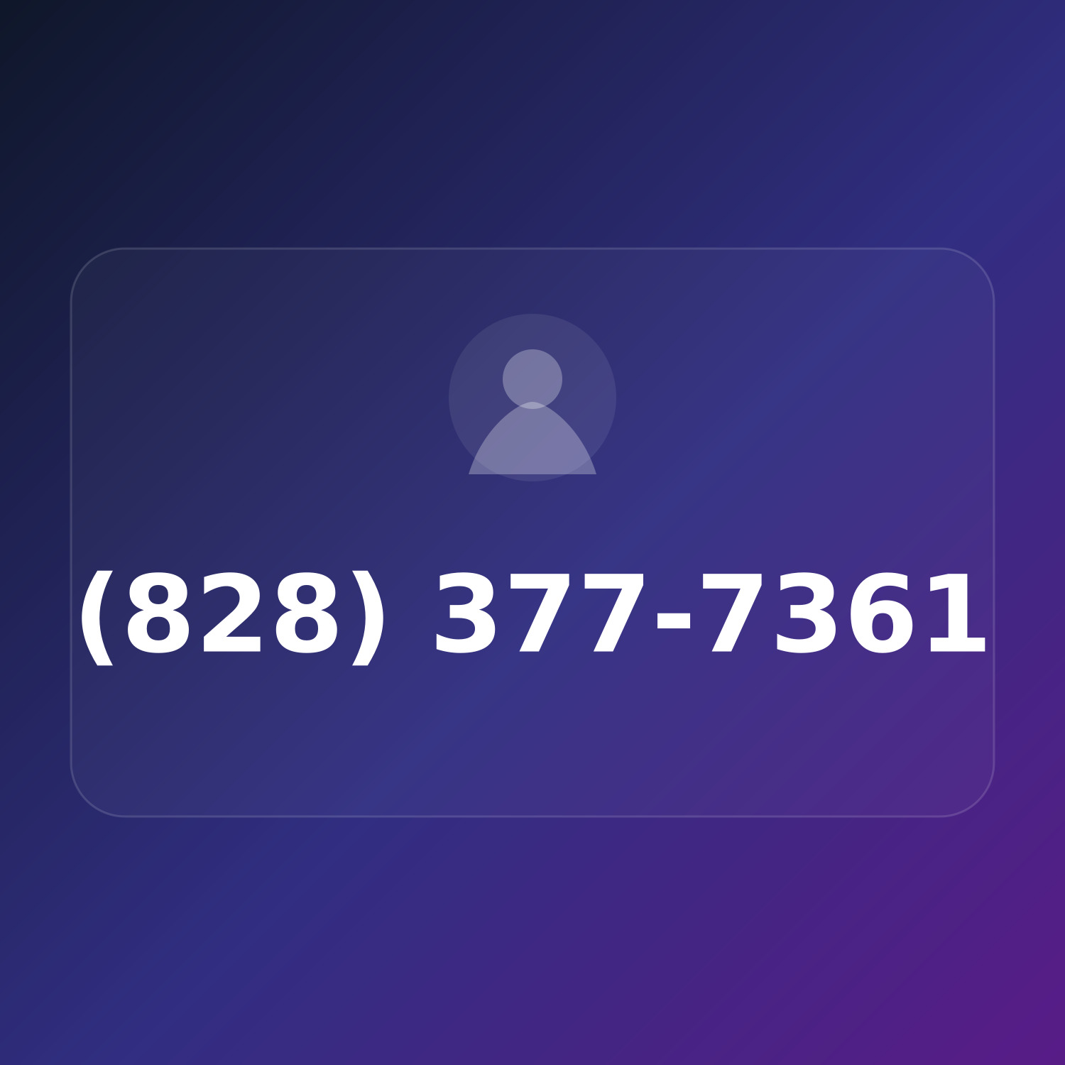 (828) 377-SEO1 product image
