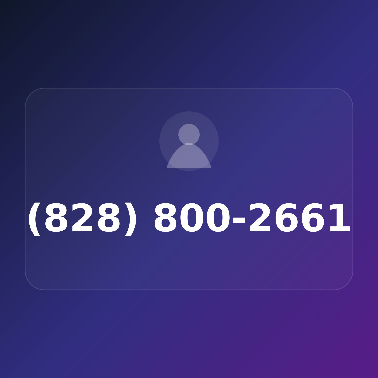(828) 800-ANN1 product image