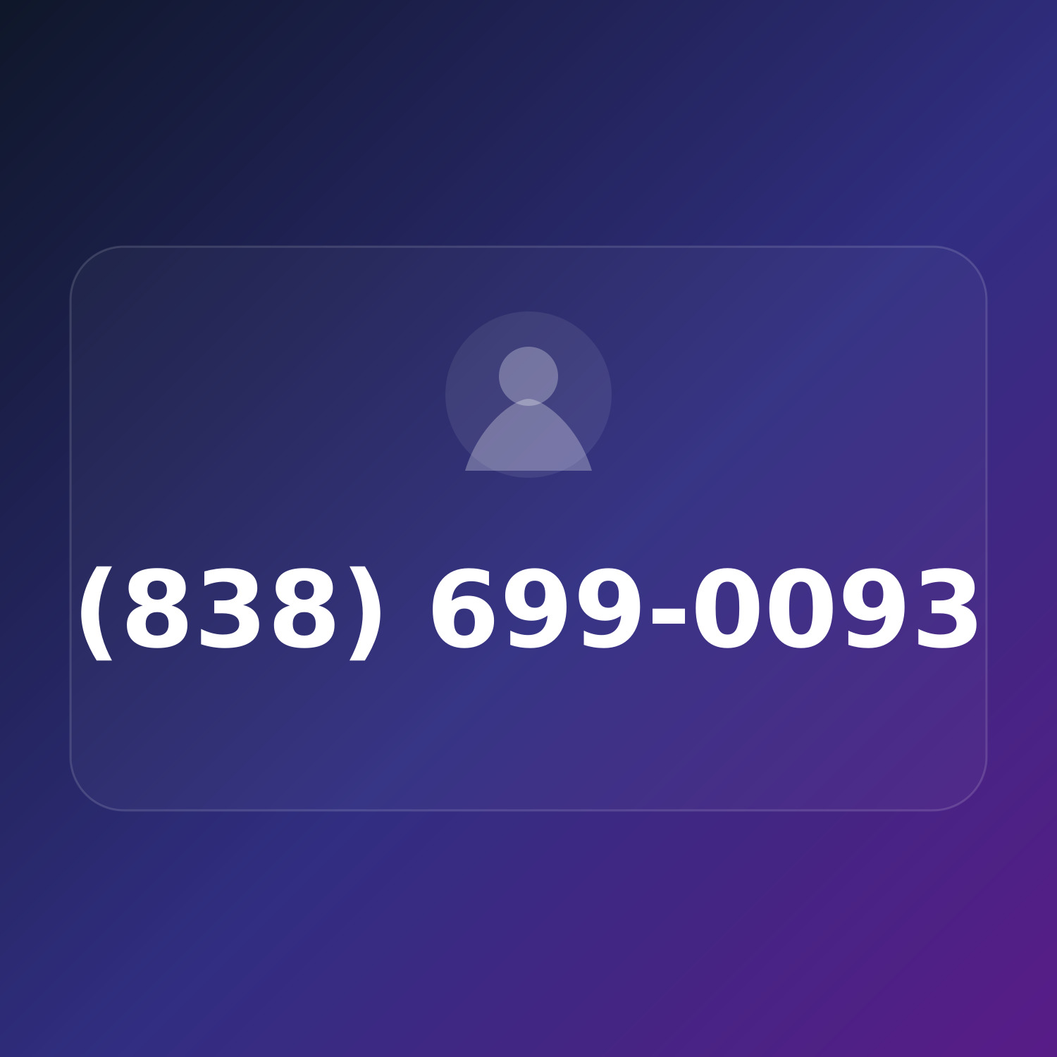 (838) 699-0093 product image