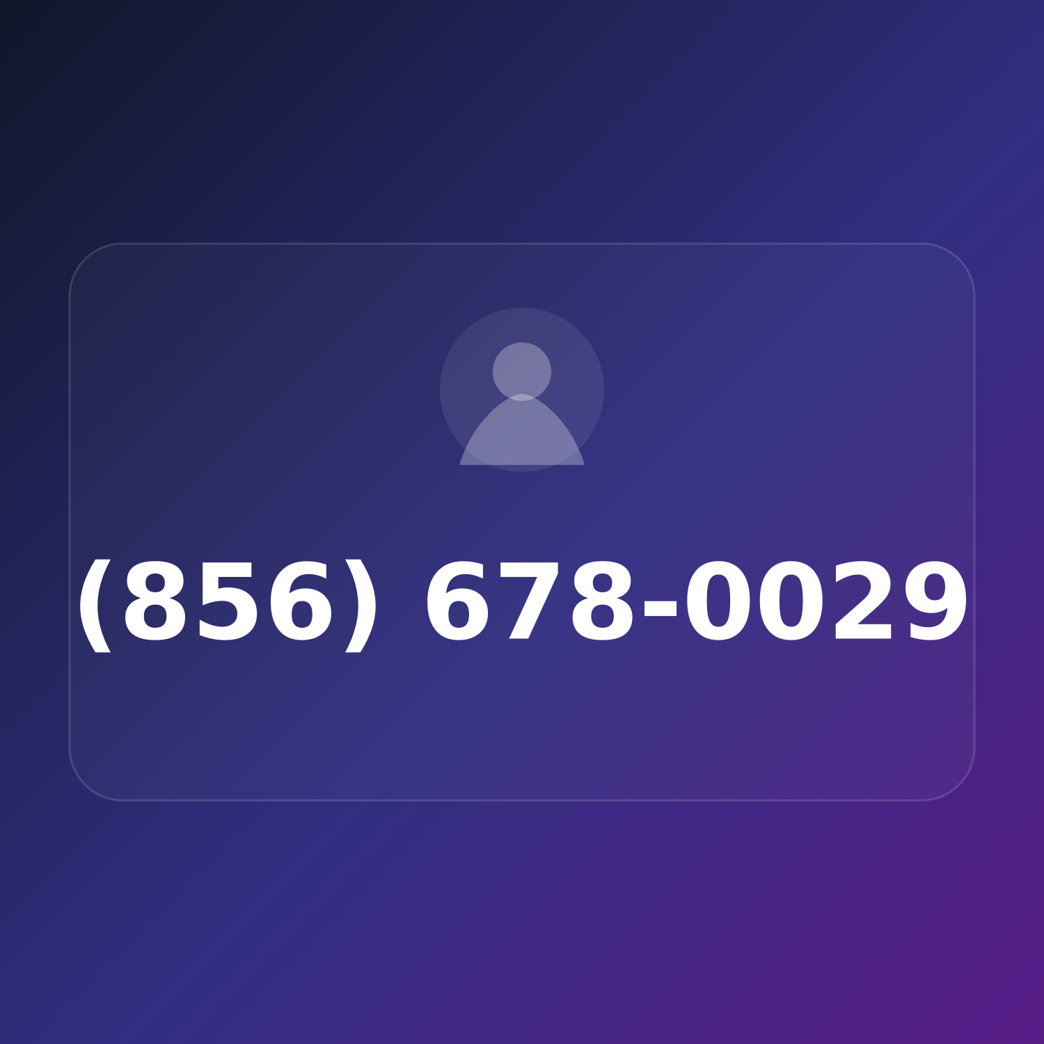 (856) 678-0029 product image