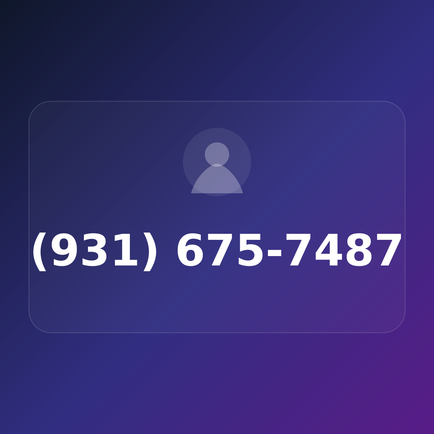 (931) 675-PITS product image