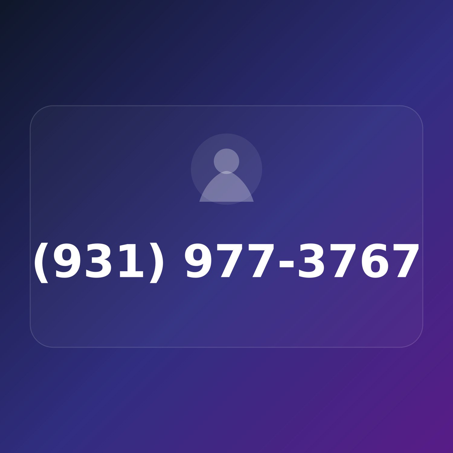 (931) 97-PERMS product image