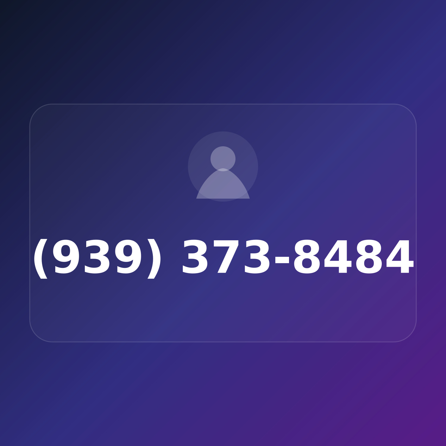 (939) 373-8484 product image
