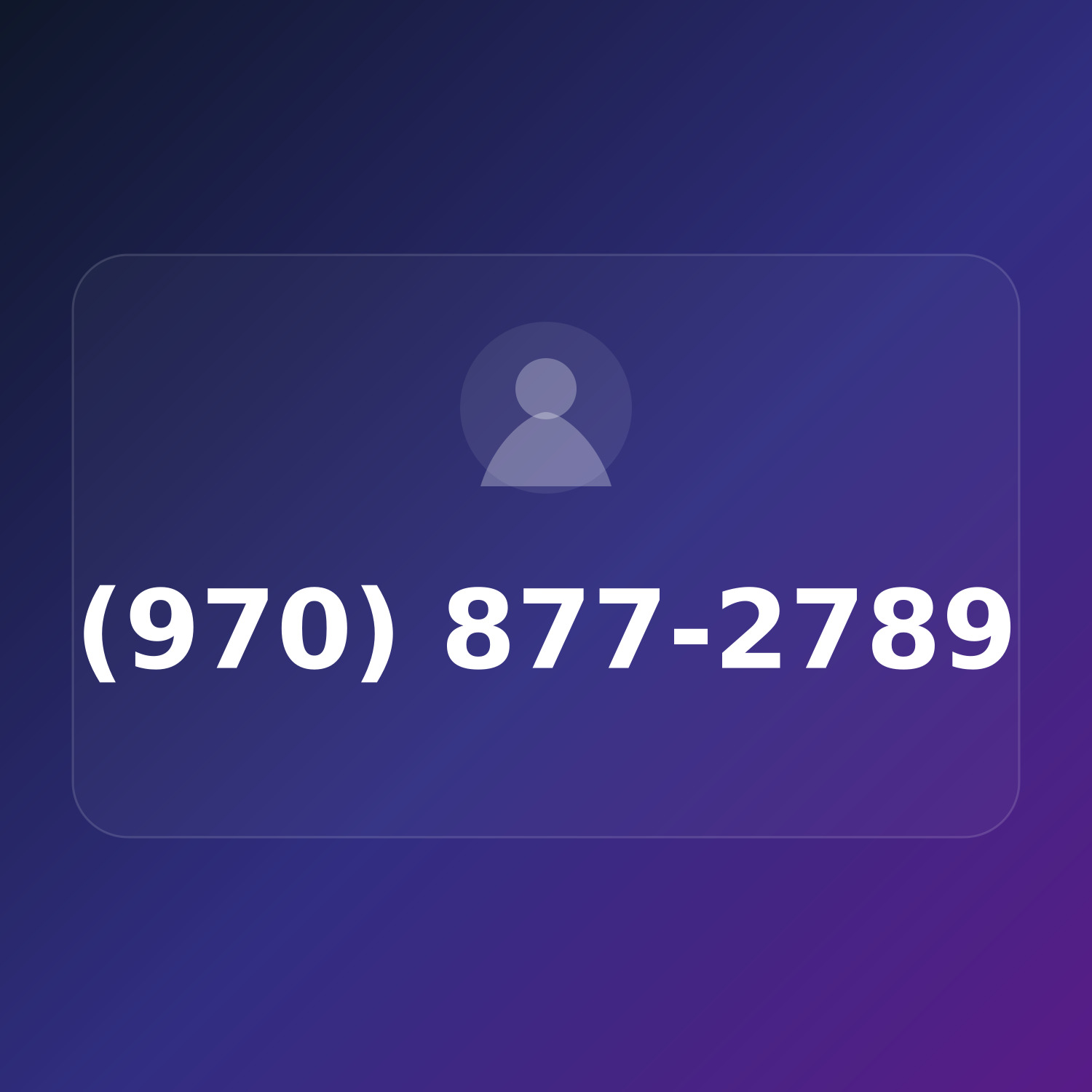 (970) 87-PARTY product image