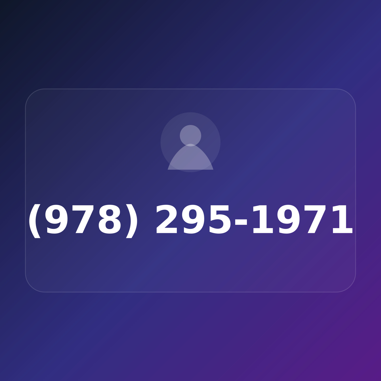 (978) 295-1971 product image