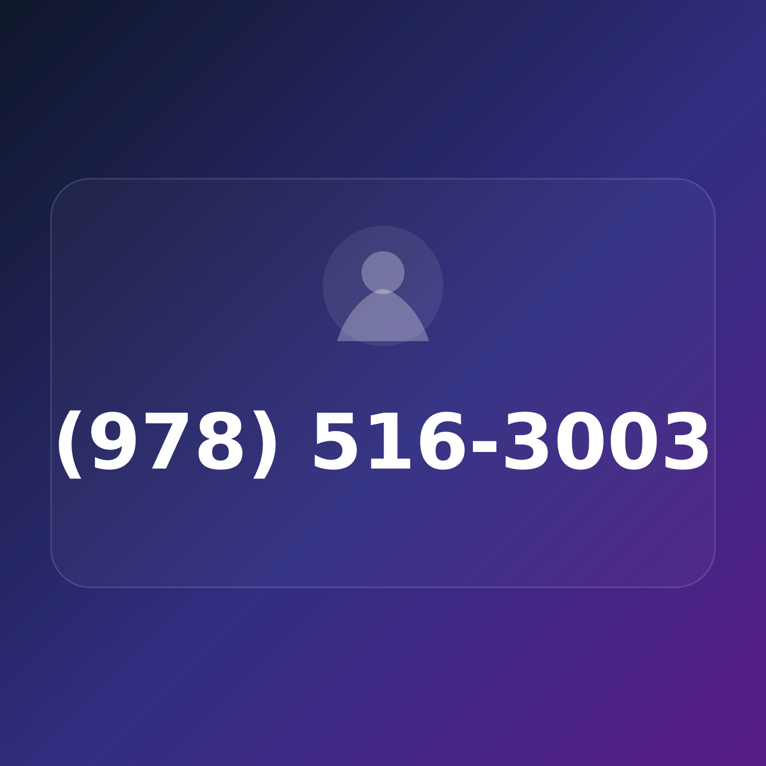 (978) 516-3003 product image